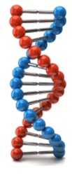 blue-and-red-DNA-helix