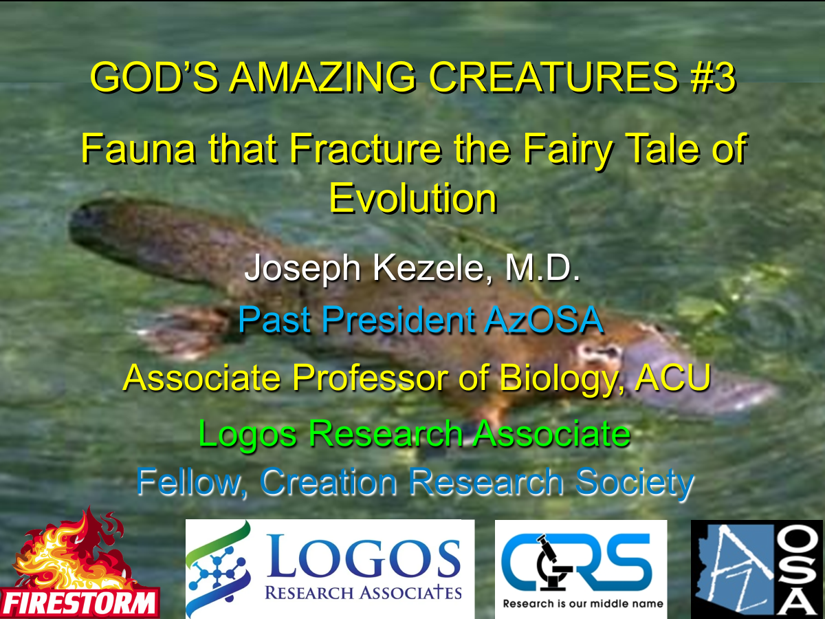 God's Amazing Creatures